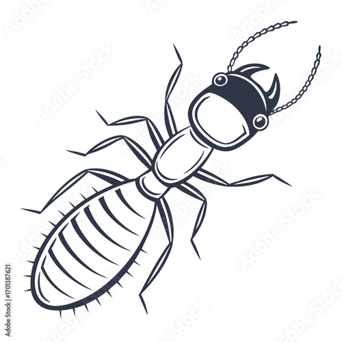 Vintage Engraving Style Termite Insect Illustration