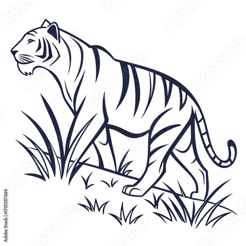 Majestic Tiger in the Grassland