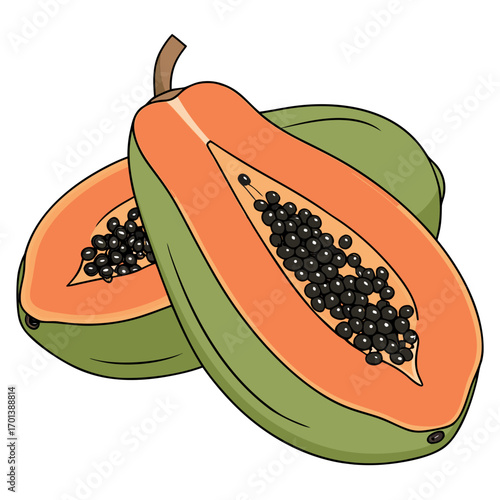 Ripe Papaya Fruit Halved, Seeds Visible