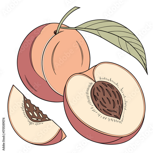 Sweet Peaches Graphic Healthy Organic Fruit Depicted in a Colorful Cartoon Style