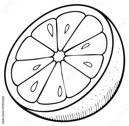 Hand drawn outline illustration of a halved citrus fruit with visible segments and seeds