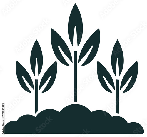 Three simple green plants growing from dark soil graphic art