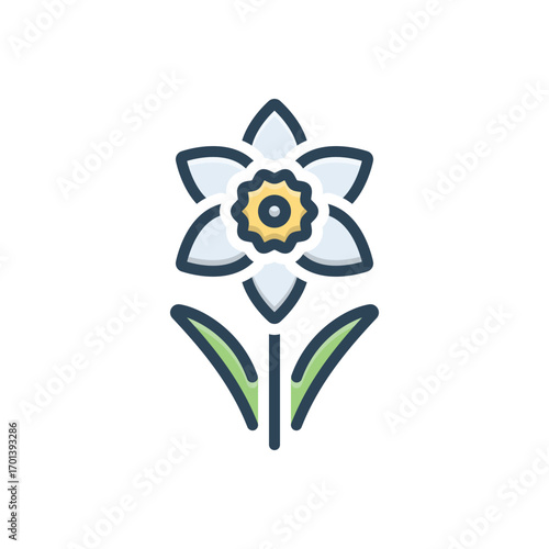 Color illustration icon for daffodil