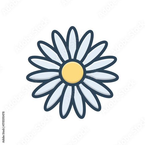 Color illustration icon for daisy