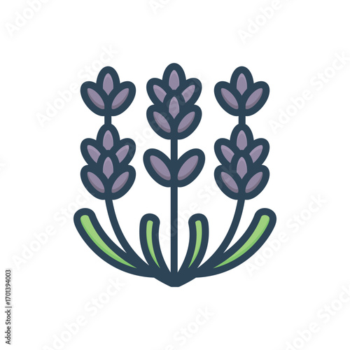 Color illustration icon for lavender
