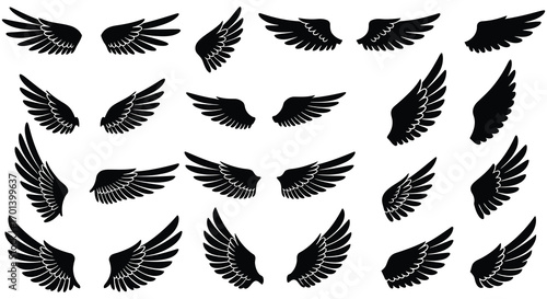 a collection of various black wing designs spread out