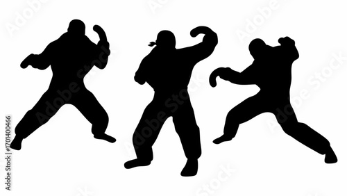 Three black silhouettes of martial artists in dynamic poses against a white background are shown here