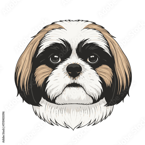 Shih Tzu head full body, cartoon vector digital art illustration, isolated on white transparent background