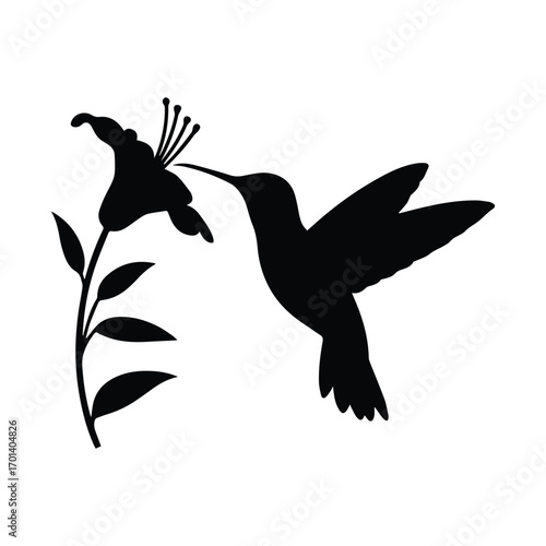 Elegant Silhouette of a Hummingbird Feeding on a Flower Against White Background