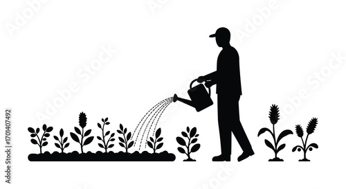 a gardener watering plants with care in his garden