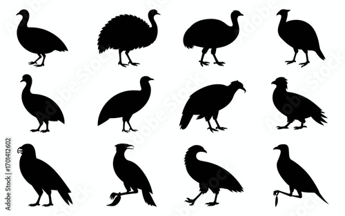Vector art of set of guinea fowl silhouette vector illustration