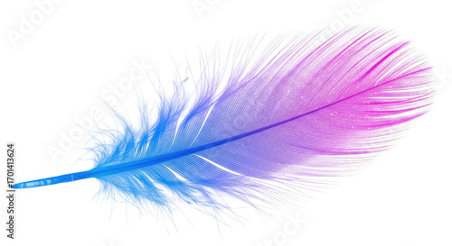 3d artistic gradient feather with soft bristles and realistic texture transparent background
