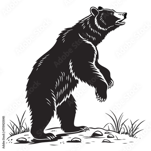 black bear silhouette