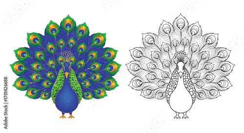 Traditional Peacock Diwali Decoration Coloring Page Indian Festival of Lights Design