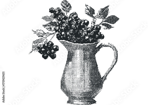 Pitcher with berries and leaves on transparent background. Vector hand drawn illustration