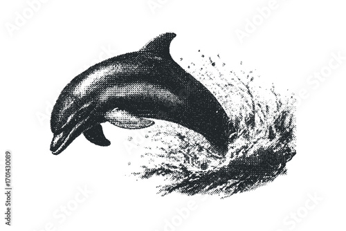 Monochromatic dolphin leaping from water splash. Vector hand drawn illustration