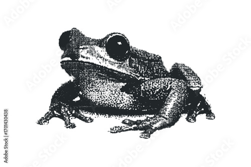 Textured frog close up isolated on white. Vector hand drawn illustration
