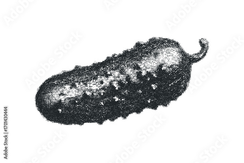 Dotted pickle image with transparent background. Vector hand drawn illustration