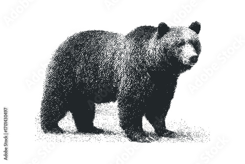 Grizzly bear standing, textured graphic,. Vector hand drawn illustration
