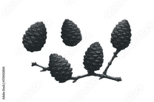 Dark Stippled Pine Cones on Twig Image. Vector hand drawn illustration