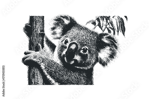 Halftone koala clinging to tree branch. Vector hand drawn illustration