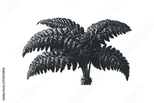 Fragmented fern frond shape with grunge texture. Vector hand drawn illustration