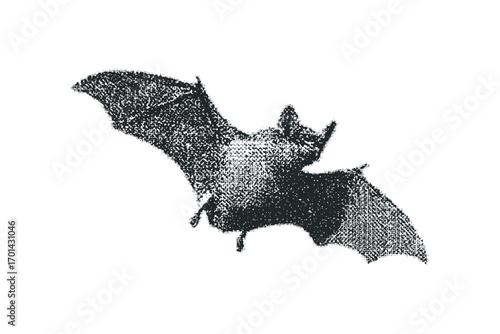 Flying Bat Silhouette Transparent Image. Vector hand drawn illustration