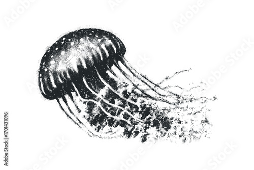 Jellyfish floating in deep ocean water. Vector hand drawn illustration