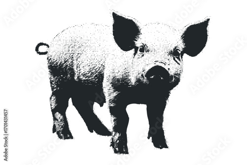Young piglet standing full body on transparent background, monochrome style. Vector hand drawn illustration