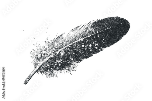 Textured black quill feather with torn edges isolated on white. Vector hand drawn illustration