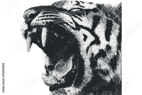 Fierce Tiger Head Roaring Image. Vector hand drawn illustration