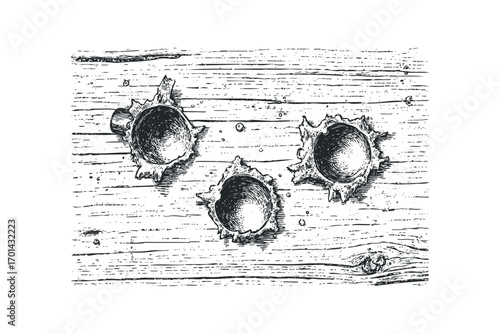 Three bullet holes piercing through weathered wooden planks image. Vector hand drawn illustration