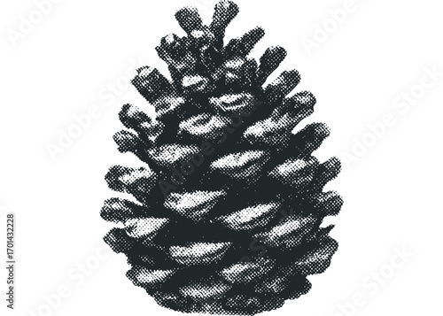 Pinecone detail grunge texture graphic. Vector hand drawn illustration