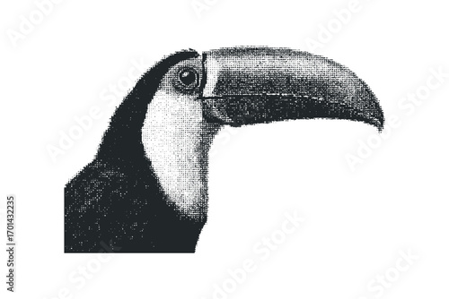 Toucan bird head profile image. Vector hand drawn illustration