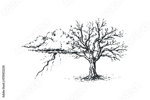 Ink drawing of a bare tree with a stormy cloud and lightning. Vector hand drawn illustration
