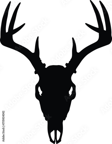 Majestic deer skull silhouette antlers woodland wildlife symbol vector