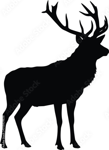 Majestic stag silhouette forest wildlife noble animal icon vector art vector