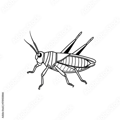 Monochrome line art illustration of a grasshopper with detailed exoskeleton and legs