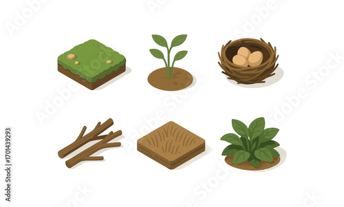 isometric icon items isolated on white background forest understory moss ground plant shoots bird nest branch layer shade lines