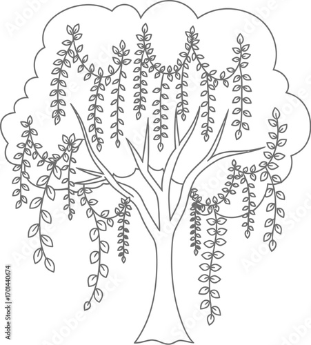 Vector art of weeping willow tree, a simple drawing