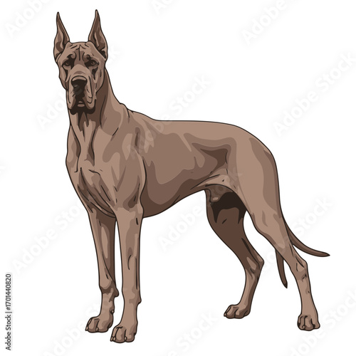 Great Dane head full body, cartoon vector digital drawing illustration, isolated on white transparent background