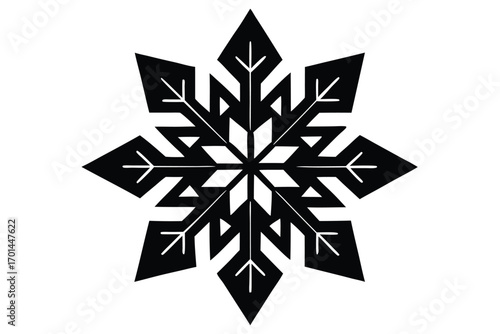 snowflake crystal silhouette vector art icon