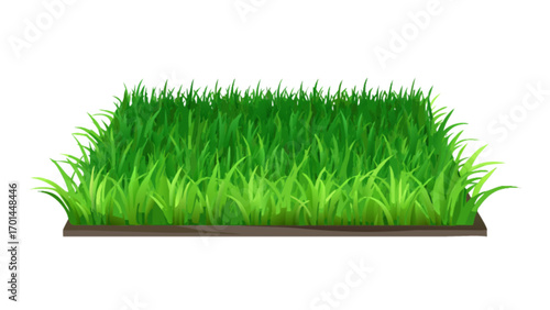 Isolated patch of green grass vector illustration for lawn garden landscaping design