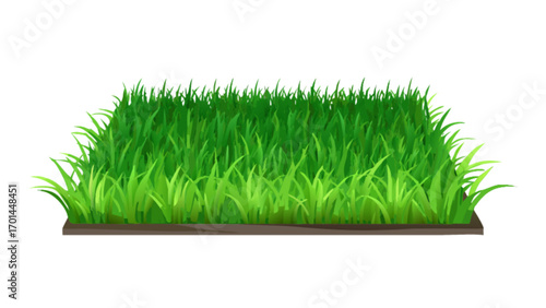 Isolated patch of green grass vector illustration for lawn garden landscaping design