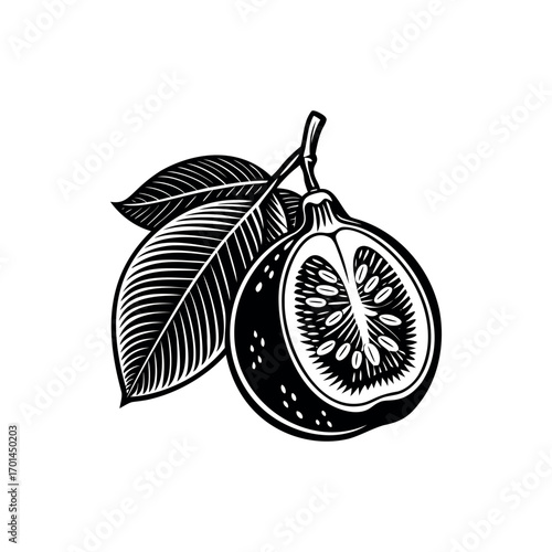 Elegant monochrome illustration of a halved grapefruit with leaves on a branch