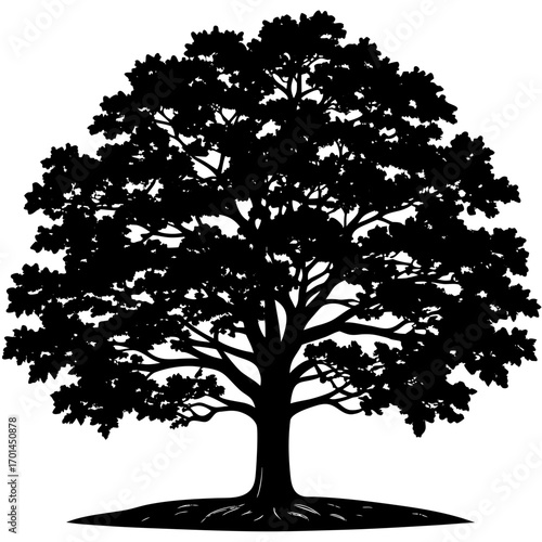whispering oak silhouette black this whit bg victor 