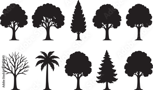 Diverse collection of silhouetted trees ideal for landscape design and nature graphics various shapes and species represented silhouette