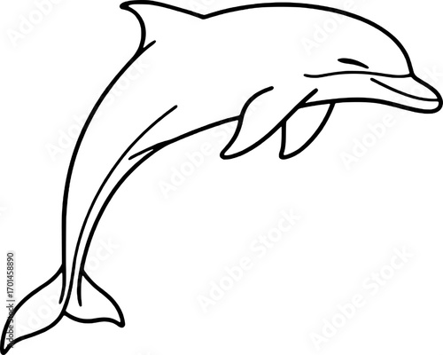 Line Drawing Dolphin | Minimalist Marine Illustration

