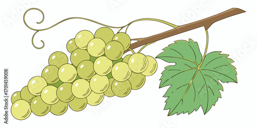 A realistic bunch of green grapes with smooth, glossy skin, arranged tightly together and attached to a brown stem. A few vibrant green grapevine leaves are also attached. The lighting is soft and nat