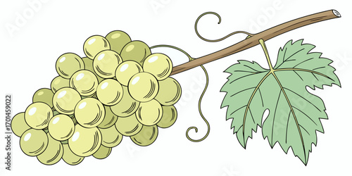 A realistic bunch of green grapes with smooth, glossy skin, arranged tightly together and attached to a brown stem. A few vibrant green grapevine leaves are also attached. The lighting is soft and nat